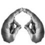 Delight Mudra